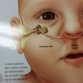 ENT Memphis: Dr. Rande Harris Lazar - Ear Nose & Throat Near Me - Memphis, Tennessee