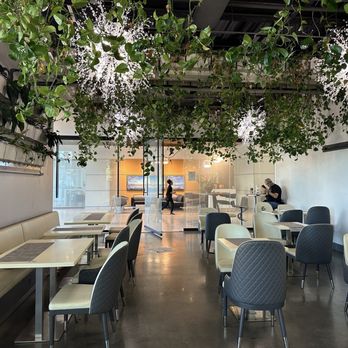 Saveurs du Monde Cafe - Westedge - Coffee & Tea Near Me - Charleston, South Carolina