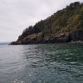 BC Whale Tours - Whale Watching Tours Near Me - Victoria, British Columbia