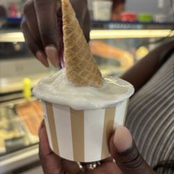 Reggina Gelato and Espresso Bar - Coconut