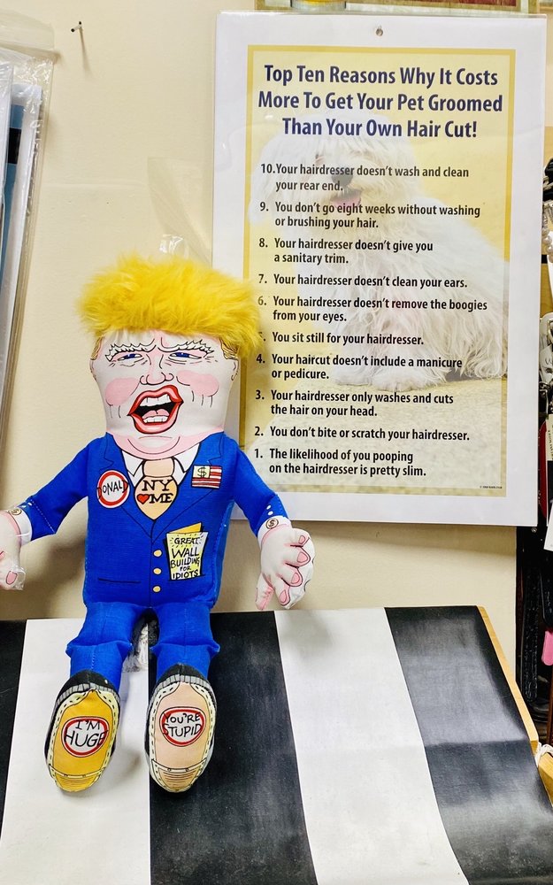 PETS BOUTIQUE Updated September 2024 179 Photos & 29 Reviews 8