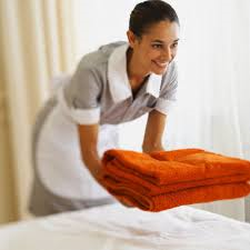 Domestic Household Services