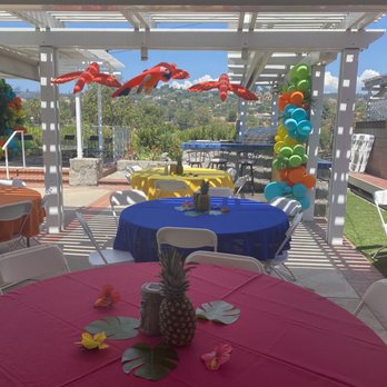 Bizzie Bee Creations - Beautiful balloons - Party & Event Planning Near Me