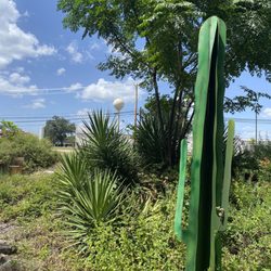 Salado Sculpture Garden - Cactus