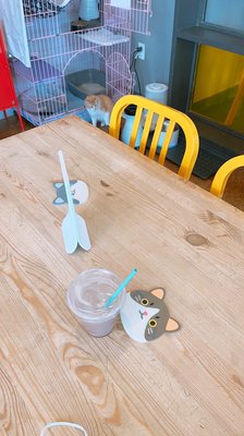 Mauhaus Cat Cafe by null