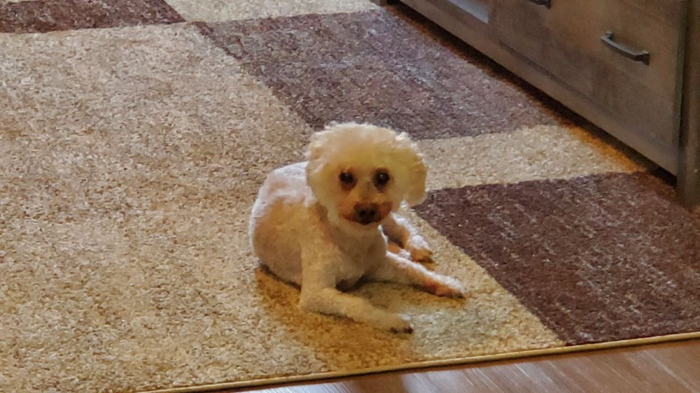 MARY’S GROOMING STATION Updated August 2024 3907 Roberts Rd