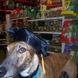 Just Rewards - Graduation from "Basic Manners"