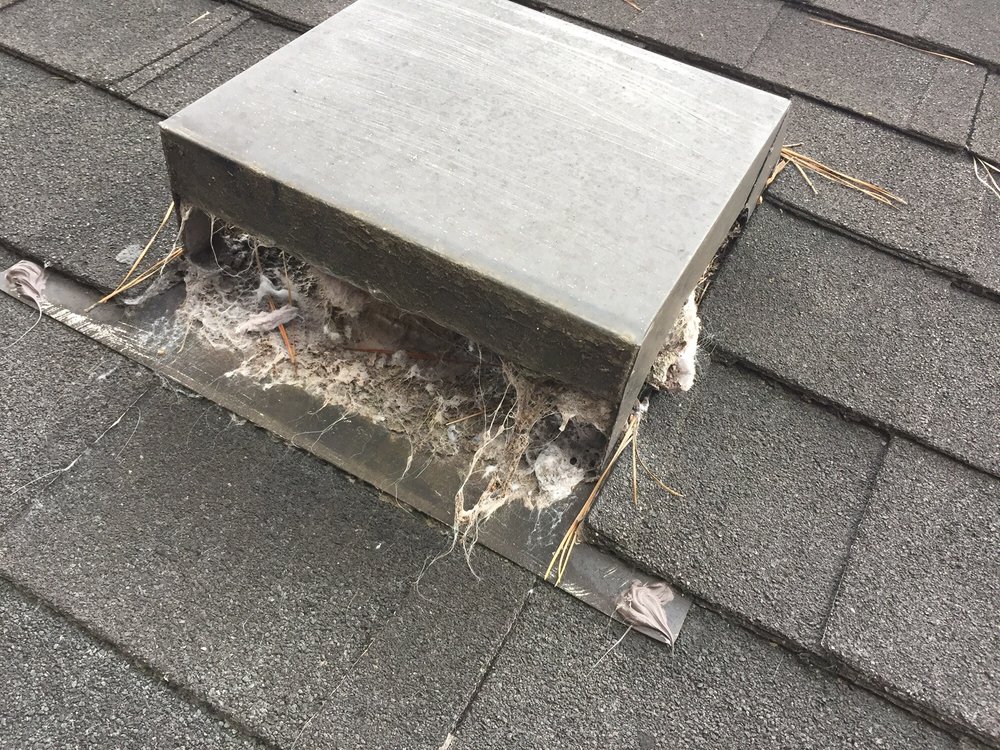 WEST HOUSTON DRYER VENT CLEANING 19 Photos & 59 Reviews Houston