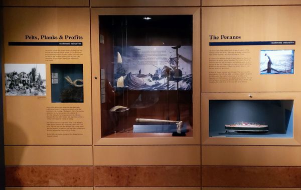 Wellington Museum by null