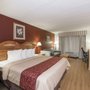 Photo of Red Roof Inn & Suites Stafford