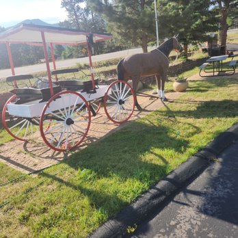 Saddle & Surrey Motel - Surrey..not sorry - Hotels Near Me - Estes Park, Colorado Saddle & Surrey Motel - Surrey..not sorry - Hotels Near Me - Estes Park, Colorado