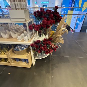 Primark - Flowers - Accessories Near Me - King of Prussia, Pennsylvania Primark - Flowers - Accessories Near Me - King of Prussia, Pennsylvania