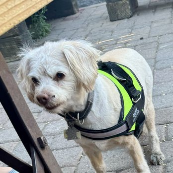SouthSide Tavern - Dog friendly - Bars Near Me - Flagstaff, Arizona