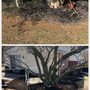 Photo of McCutters Lawnscapes