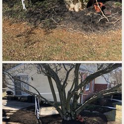 McCutters Lawnscapes - Top Picture :  before                              Bottom Picture :  after
