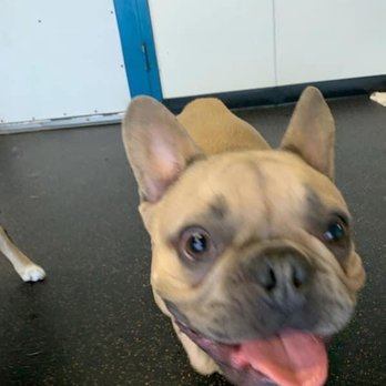ComeSitStay Pet Boarding Grooming & Daycare - Pet Groomers Near Me - Omaha, Nebraska