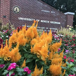 University Of North Georgia