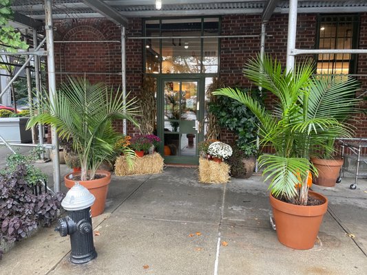 Afficionado Coffee Roasters by null