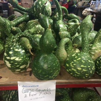 Morris Farm Market - So many fascinating items here including these,goose gourds. - Farmers Market Near Me - Barco, North Carolina Morris Farm Market - So many fascinating items here including these,goose gourds. - Farmers Market Near Me - Barco, North Carolina