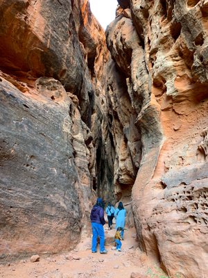Snow Canyon State Park by null