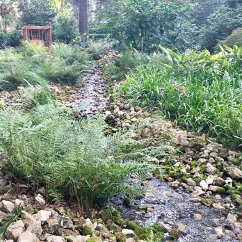 Dorothy B Oven Park - A babbling brook to give you tranquility - Parks Near Me - Tallahassee, Florida
