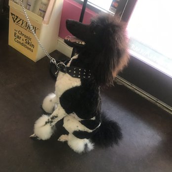 Brittney's Bark Avenue - Pet Groomers Near Me - Fresno, California