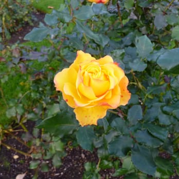 National Botanic Gardens - Parks Near Me - Glasnevin, D