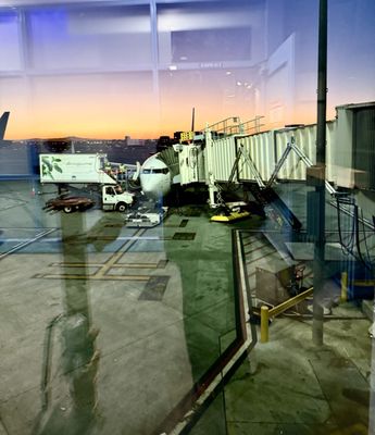 Alaska Airlines - LAX by null