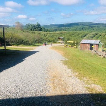 Sky Top Orchard - Beautiful views. - Pick Your Own Farms Near Me - Zirconia, North Carolina