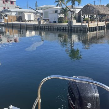 Captain Sterling's Boat Tours - Boat Tours Near Me - Key Largo, Florida