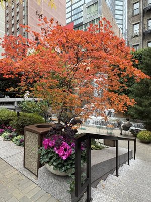 Greenacre Park by null