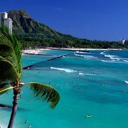 Global Options Travel, LLC