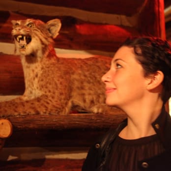 Ishnala - wildcat - Steakhouses Near Me - Wisconsin Dells, Wisconsin