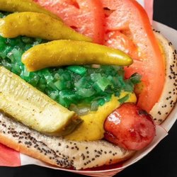 Chicago's Dog House - Now this is a proper Chicago style hot dog.  Notice the neon green relish, celery salt, and poppy seed bun (and obviously no ketchup!).