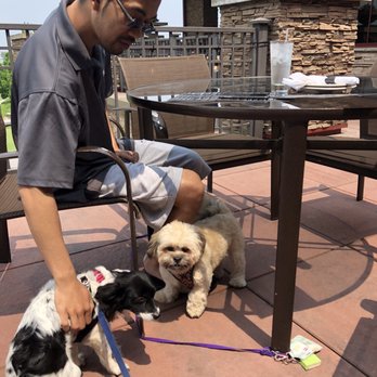 The Emerald Green at Lost Marsh - Pet friendly place ! Rare to find in Indiana - Bars Near Me - Hammond, Indiana