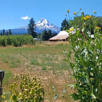 Solera Brewery - Views from the back porch. - Breweries Near Me - Mount Hood Parkdale, Oregon Solera Brewery - Views from the back porch. - Breweries Near Me - Mount Hood Parkdale, Oregon