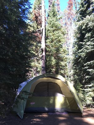 Mazama Village Campground & Cabins by null
