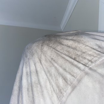 Champion Movers - Movers Near Me - North Las Vegas, Nevada