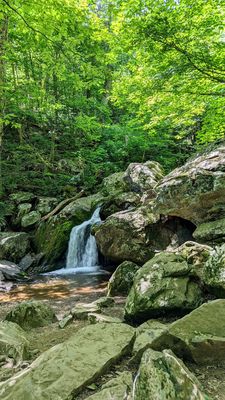 DARK HOLLOW FALLS TRAIL 136 Photos - L 