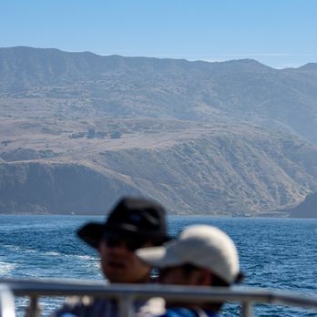 Island Packer Cruises - Island Packer Cruises - Boating Near Me - Ventura, California Island Packer Cruises - Island Packer Cruises - Boating Near Me - Ventura, California