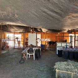 Desert Mirage Alpaca Ranch