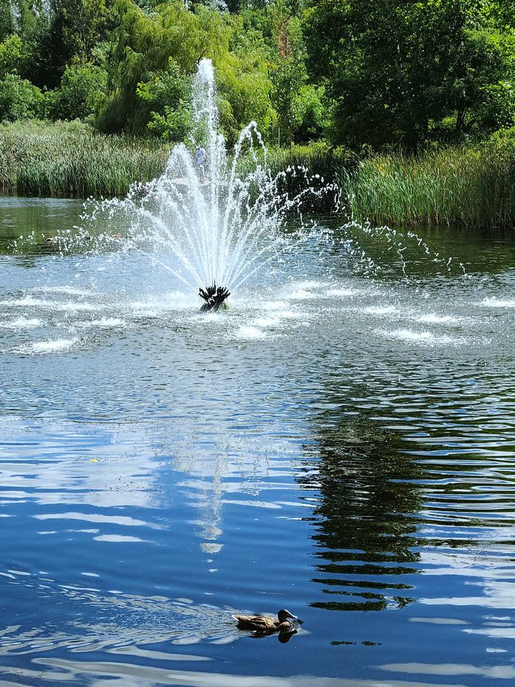 MILLIKEN PARK Updated May 2024 67 Photos & 15 Reviews 4325 McCowan Road, Toronto, Ontario