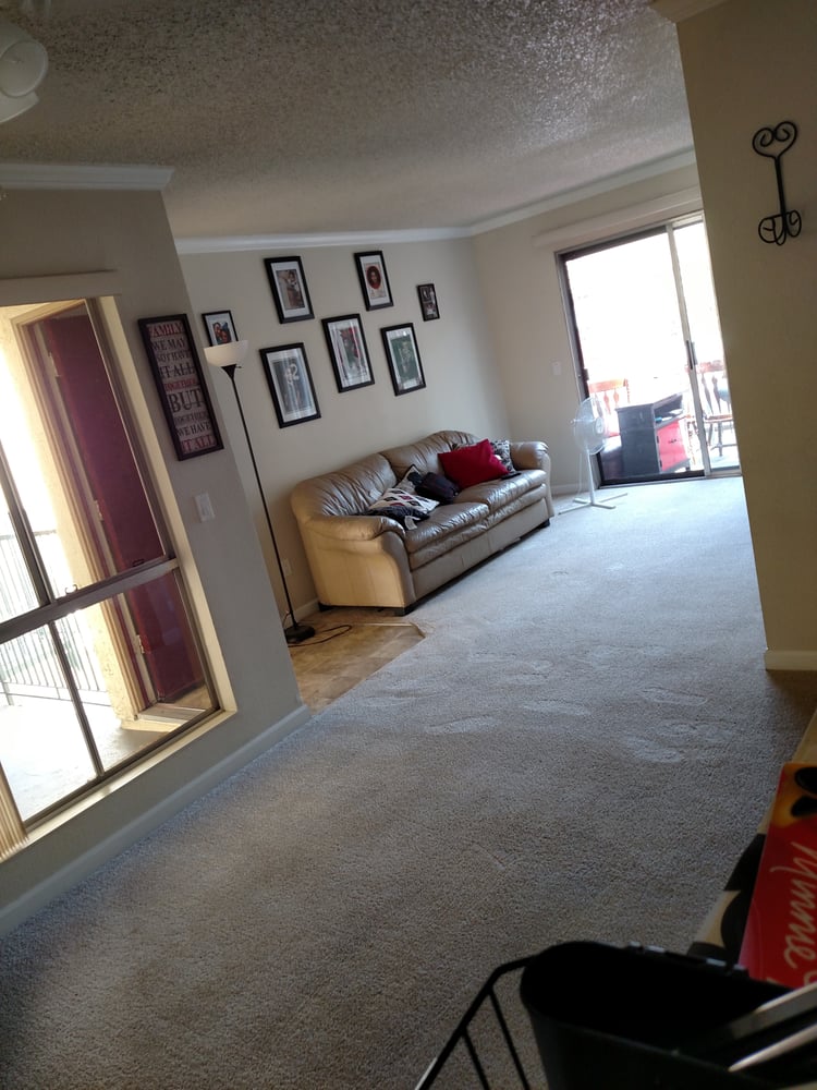 D & D CARPETS AND GENERAL CONTRACTING Updated September 2024 13