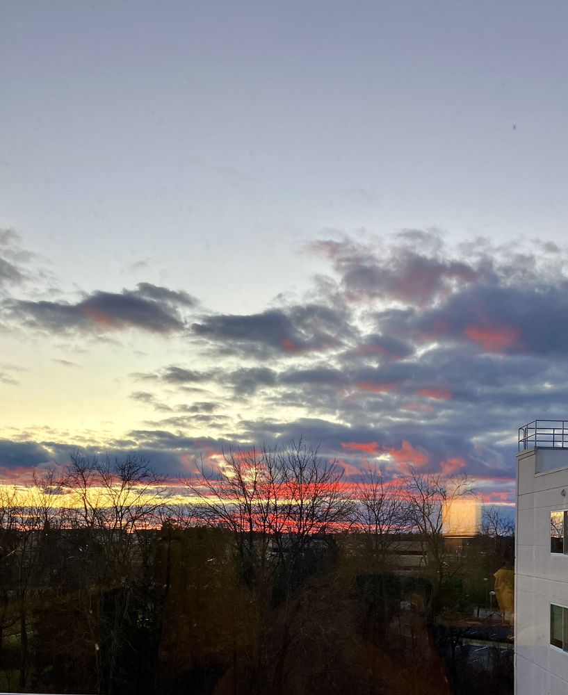 Food from River Horse Brewing Company