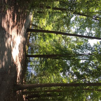 Noland Trail - Hiking Near Me - Newport News, Virginia Noland Trail - Hiking Near Me - Newport News, Virginia