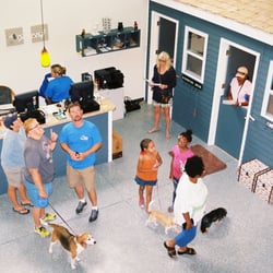 Paw Palace - Our lobby is always clean, inviting and ready to welcome new friends!