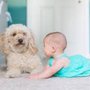 Photo of Specialty Cleaning Service