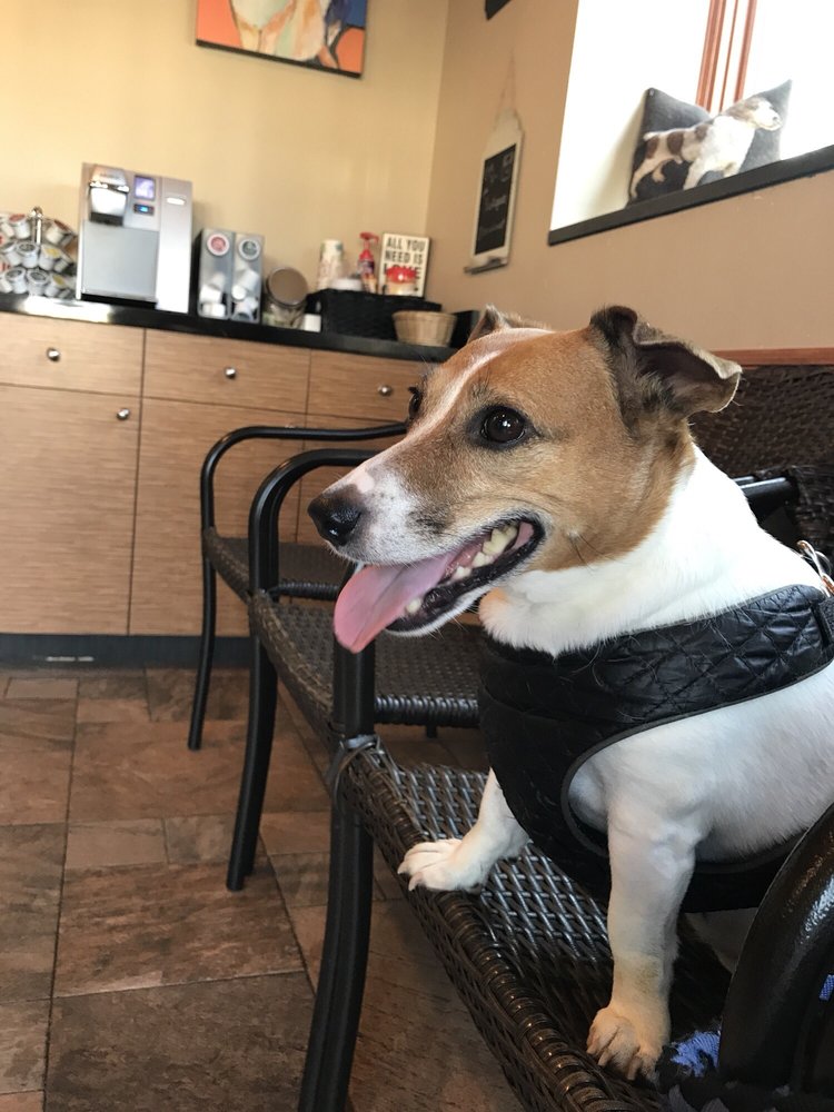 BANFIELD PET HOSPITAL SECAUCUS S. 18 Photos & 100 Reviews