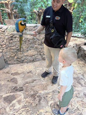 Croco Cun Zoo by null