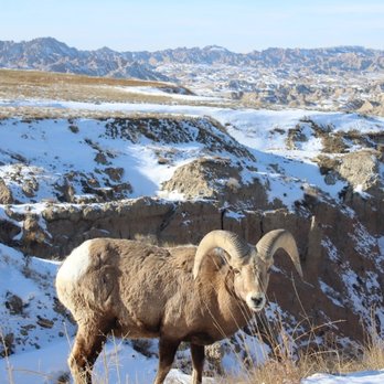 Badlands National Park - Parks Near Me - Interior, South Dakota